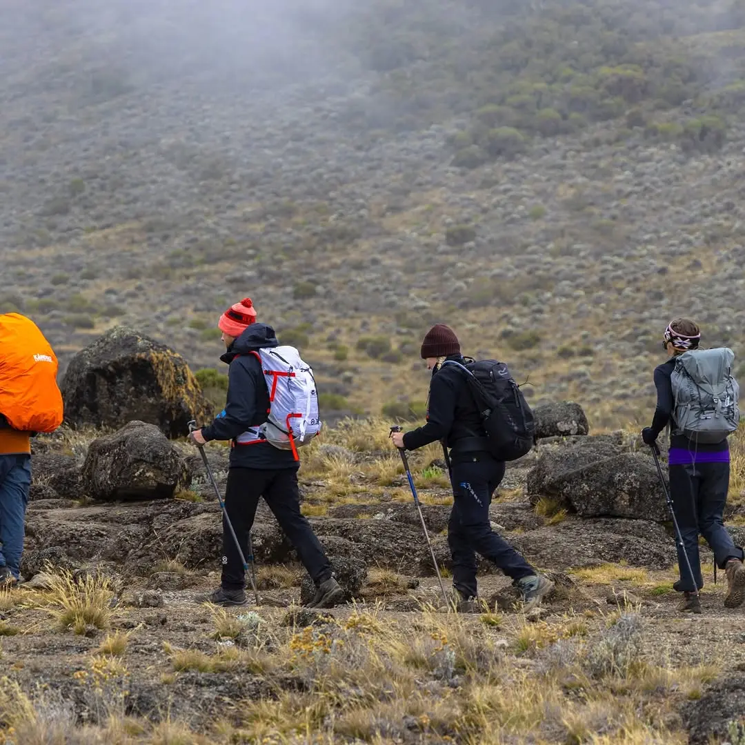 Moir Hut to Buffalo Camp