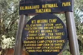 Mti Mkubwa Camp Detail