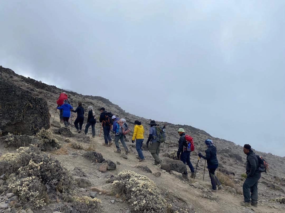 Trekking from Horombo Hut to Kibo Hut