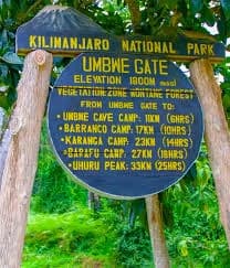 Umbwe Camp Detail