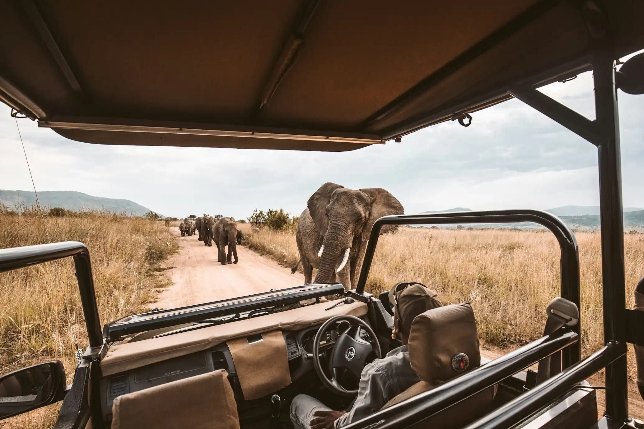 Tanzania Safaris